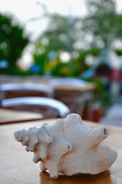 B&B Il Giardino Stellato Vieste Ngoại thất bức ảnh