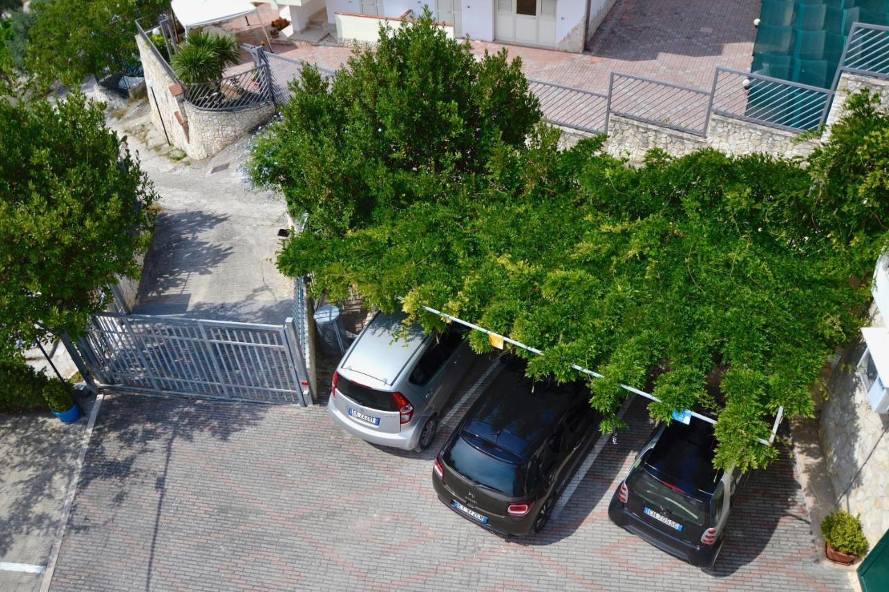 B&B Il Giardino Stellato Vieste Ngoại thất bức ảnh